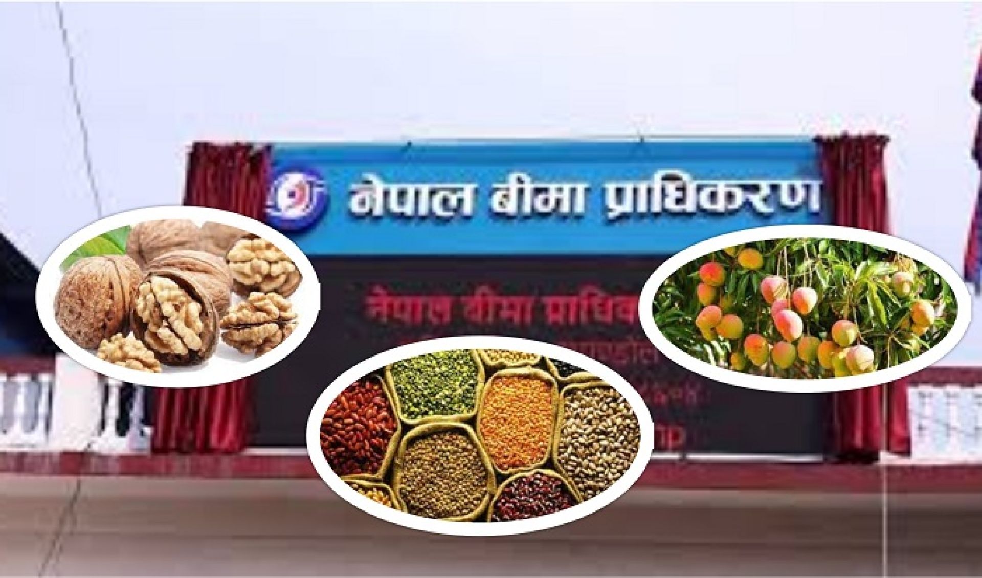 आजदेखि लागु भए तीन बीमालेखः यस्ता छन् विशेषता 